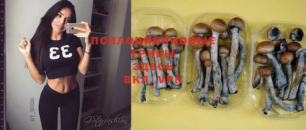 ГАЛЛЮЦИНОГЕННЫЕ ГРИБЫ Аркадак