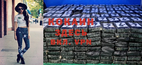 ГАЛЛЮЦИНОГЕННЫЕ ГРИБЫ Аркадак